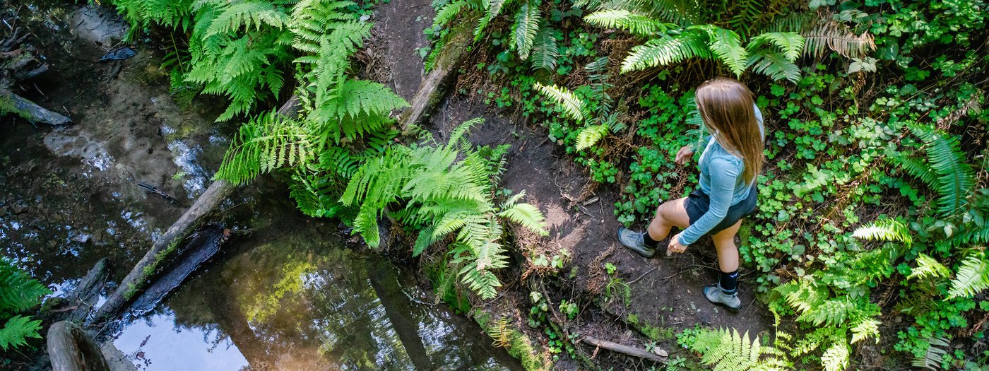 Hiking & Outdoor Socks